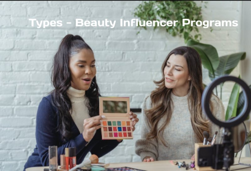 Types - Beauty Influencer Programs