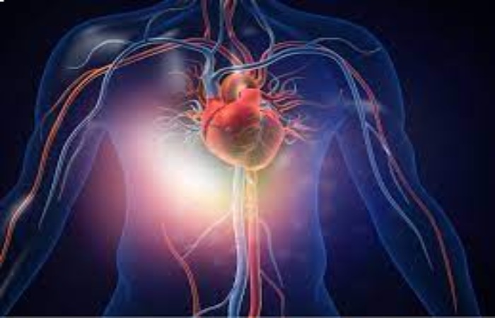 How Marathon Heart Health Impacts your Body_